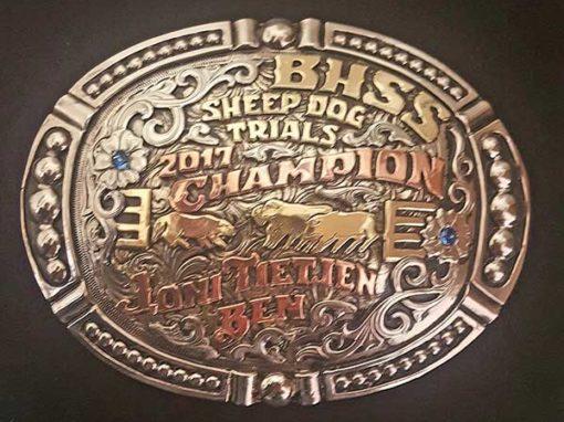 Super Sale: (14-1HC to 14-17) - Maynard Buckles